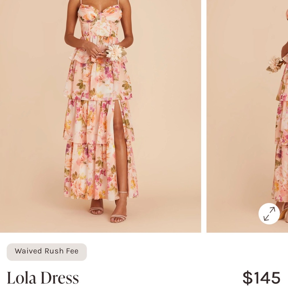 Birdy Grey Lola Chiffon Dress in Coral Sunset Peonies - Size M - Picture 4 of 9